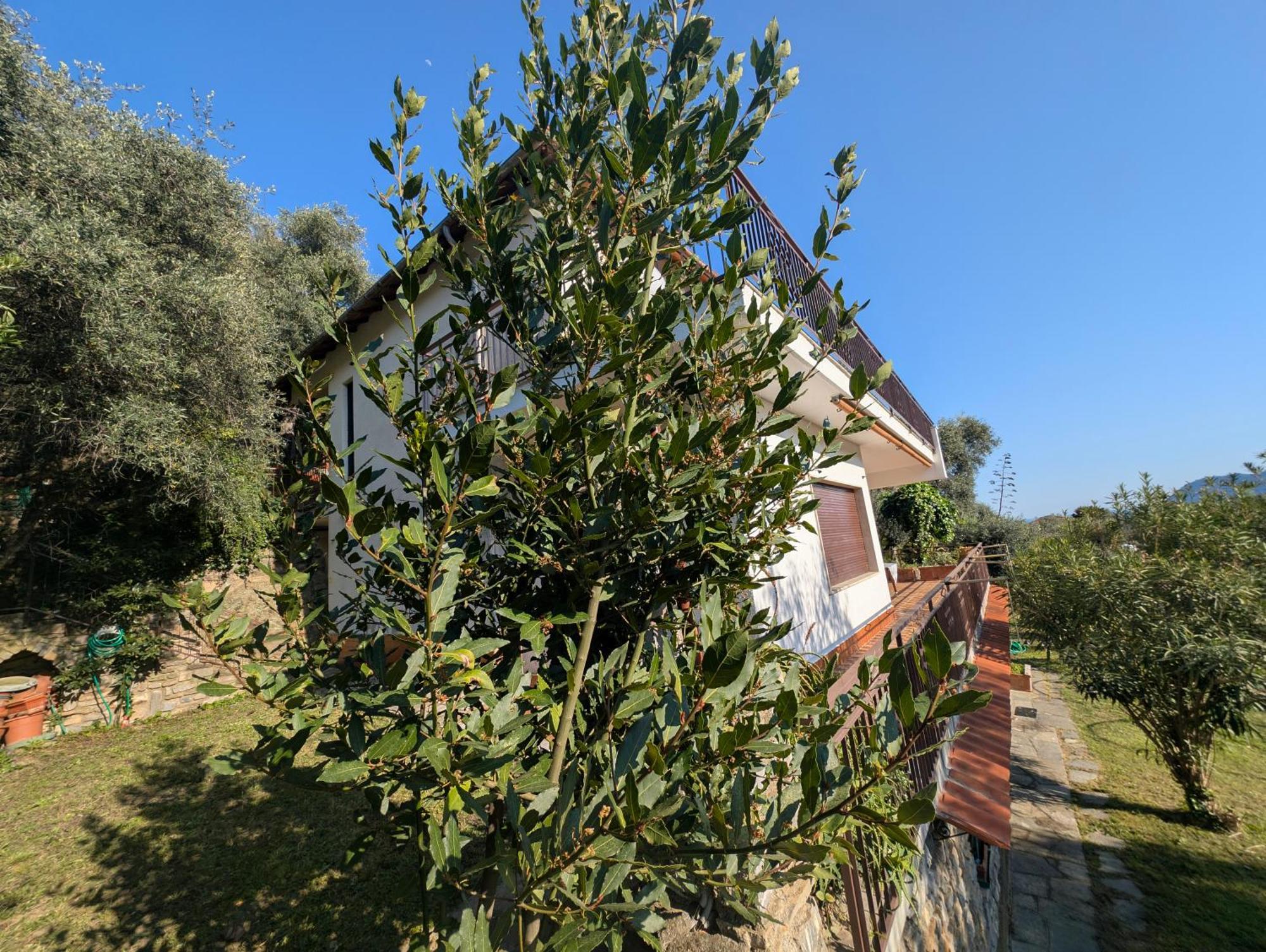 La Casa Di Nonna Lorenna Alassio Exterior photo